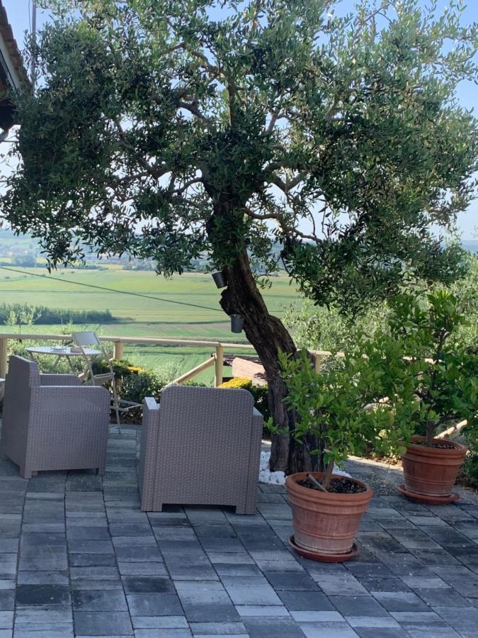 Locazione Turistica Casa Olivo Apartment Fucecchio Bagian luar foto