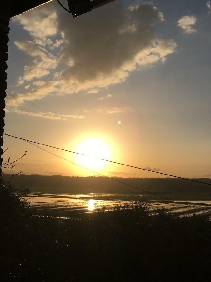 Locazione Turistica Casa Olivo Apartment Fucecchio Bagian luar foto